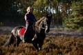 FinnFoto_271431