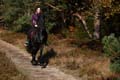 FinnFoto_271498