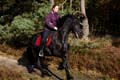 FinnFoto_271502