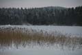 FinnFoto_272611