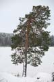 FinnFoto_272637