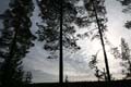 FinnFoto_249842