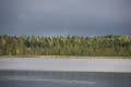 FinnFoto_257185