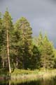 FinnFoto_257195
