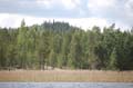 FinnFoto_207079