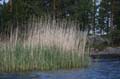 FinnFoto_207172