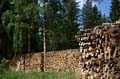FinnFoto_207255
