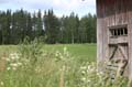 FinnFoto_207296
