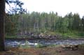 FinnFoto_207342