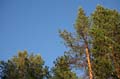 FinnFoto_207365