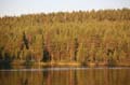 FinnFoto_207832