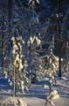 FinnFoto_218972
