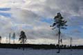FinnFoto_221277
