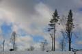 FinnFoto_221291