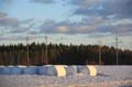 FinnFoto_221349