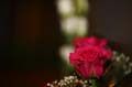 FinnFoto_221469