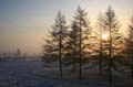 FinnFoto_221880