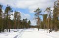 FinnFoto_222176