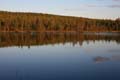 FinnFoto_229411