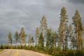 FinnFoto_229555