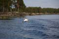 FinnFoto_230029