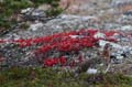 FinnFoto_269645