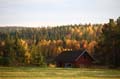 FinnFoto_269933