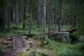 FinnFoto_270125