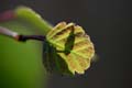 FinnFoto_280514