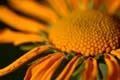 FinnFoto_281045
