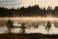 FinnFoto_281137