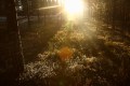 FinnFoto_306663