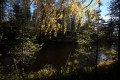 FinnFoto_306716