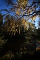 FinnFoto_306730