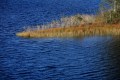 FinnFoto_306768