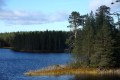 FinnFoto_306772