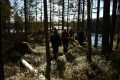 FinnFoto_306789