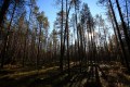 FinnFoto_306932