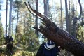 FinnFoto_306952