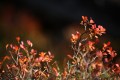FinnFoto_307052