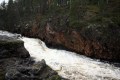 FinnFoto_307234