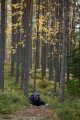 FinnFoto_307327