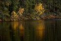 FinnFoto_307347
