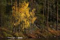 FinnFoto_307357