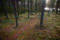 FinnFoto_307394