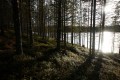 FinnFoto_307398