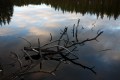 FinnFoto_307432