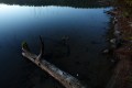FinnFoto_307463