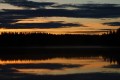 FinnFoto_307486