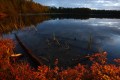 FinnFoto_307544